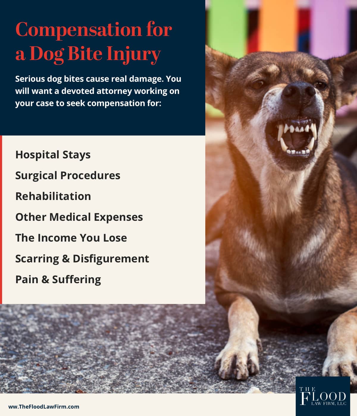 can you get nerve damage from a dog bite