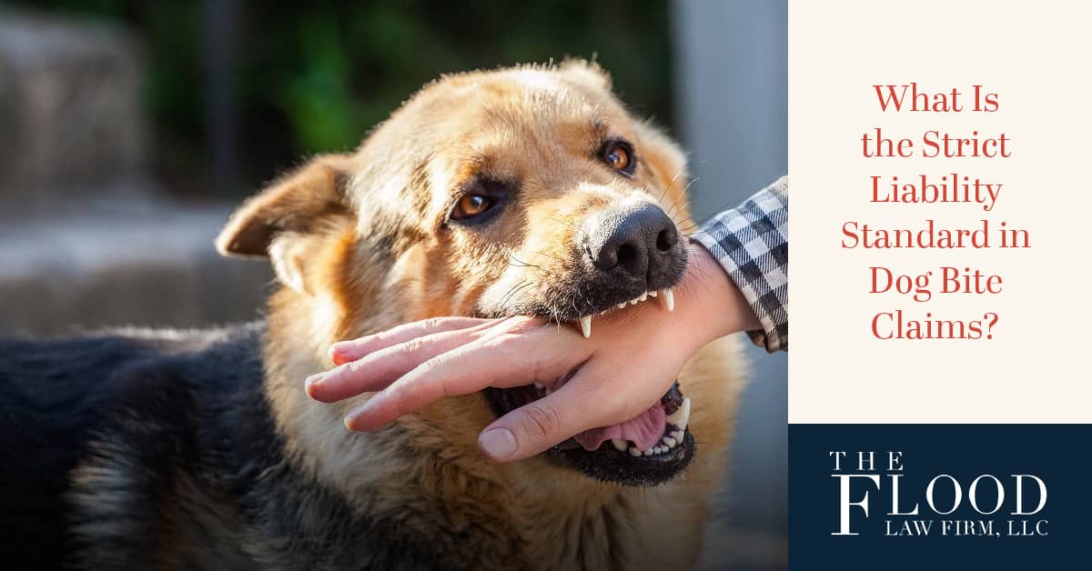 What Is Strict Liability in a Dog Bite Claim? | The Flood Law Firm